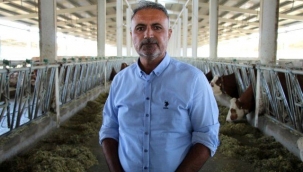 Hayvancılık sektörü ile uğraşmak için Hollanda'dan Türkiye'ye kesin dönüş yaptı