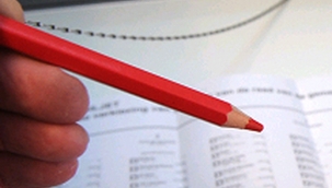 Hollanda'da oy kullanma işlemi üç güne yayılacak