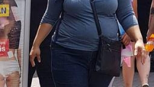 Hollandalı eşinden olan ikiz kızlarını yıllardır göremiyor