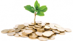 Hollanda'da camilere maddi yardımlar mercek altına alınacak