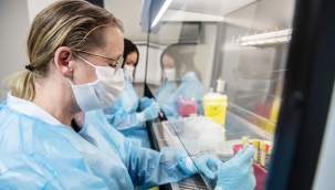 Hollanda'da sahte Covid-19 testi satılıyor