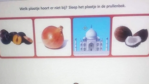 Hollanda ilkokullarındaki İslamofobik materyaller tepki çekti