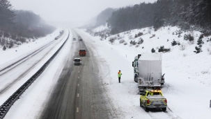 Hollanda'da kar yağışı, hayatı olumsuz etkilemeye devam ediyor