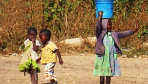 Hollanda, yurtdışından evlat edinme işlemlerini askıya aldı