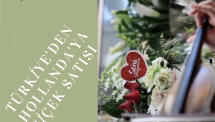 Türkiye'den Hollanda'ya çiçek satısı