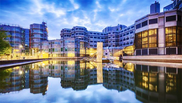 Hollanda'da AIVD'nin yıllık raporu: Aşırı sağ yükselişte