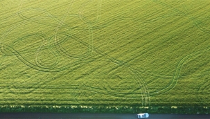 Hollanda'da aşk acısını boş bir alanda çayırın üstünde tur atarak çemeye çalışan taksi şoförü, kendini kanalda buldu