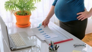 Hollanda'da doğu iznine değişklikler getiren yasa onaylandı. Yeni doğum izni yasasını sizin için derledik...