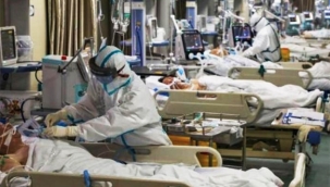 Hollanda'da hastaneler dolmaya devam ediyor