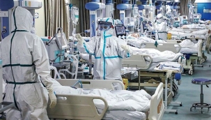 Hollanda'da yoğun bakımda olan koronavirüs hasta sayısı 700'ü aştı