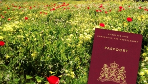 Hollanda Göç ve Vatandaşlık Dairesi, son bir yıl içinde 50 bin göçmene Hollanda vatandaşlığı verdi