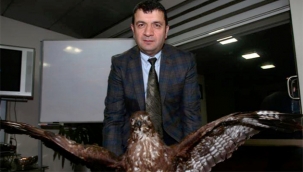 Şampiyon Beşiktaş'ın Yönetim Kurulu Üyelerinden, Hollandalı başarılı Türk iş insanı Erdal Torunoğulları kimdir?