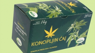 Hollanda'da kenevir çaylar toplatılıyor