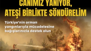 Hollanda Diyanet Vakfı'ndan Türkiye'deki orman yangınları için yardım kampanyası