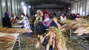 Hollanda'da ikamet eden Aksaraylı gurbetçi, memlektinde 100 kadına istihdam sağladı