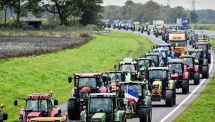 Hollanda'da hükümetin tarım ve çevre politikaları protesto edildi