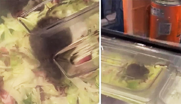 Hollanda'nın en büyük kapalı alış veriş merkezindeki bir lokantanın salatasında canlı fare görüntülendi