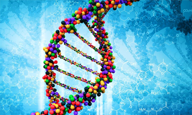 Hollanda'da 13 yıl önce çocuklara cinsel tacizde bulunan zanlı, DNA sonrası yakalandı