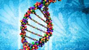 Hollanda'da 13 yıl önce çocuklara cinsel tacizde bulunan zanlı, DNA sonrası yakalandı