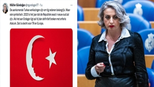Hollanda'da sınırı aşan davranışlar sonrası partisinden ihraç edilen Milletvekili Nilüfer Gündoğan, şimdi de Başkan Erdoğan'ı hedef aldı