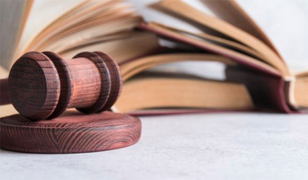 Hollanda'da suç işleyen yabancılar geldikleri ülkelere geri gönderilecek