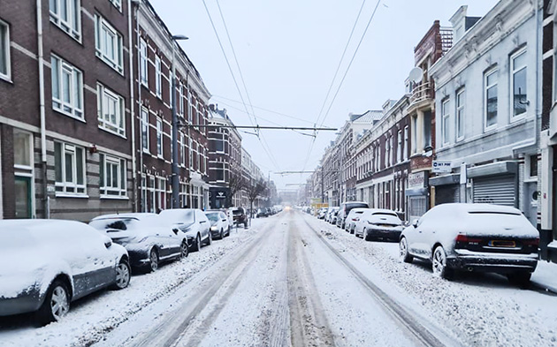Hollanda'da bu hafta kar yağışı bekleniyor