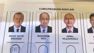 Hollanda'da Türk seçmenler oy kullanmaya başladı