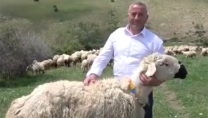 15 yaşında gittiği Hollanda'da 45 yıl çalıştıktan sonra memeleketine geri dönen gurbetçi huzuru hayvancılıkta buldu