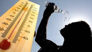 Hollanda'da bu yaz hava sıcaklığı rekor seviyelere çıkacak