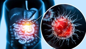 Hollanda'da kanser vakalarında ciddi oranda artış var