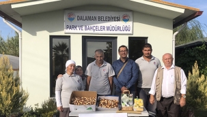 Hollanda'dan Dalaman'a 600 adet Kırmızı – Beyazlı lale soğanı