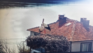 Herkes onu bekliyordu! Yaren Leylek 14. yılda da geldi