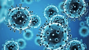 Hollanda'da neden herkes hasta?