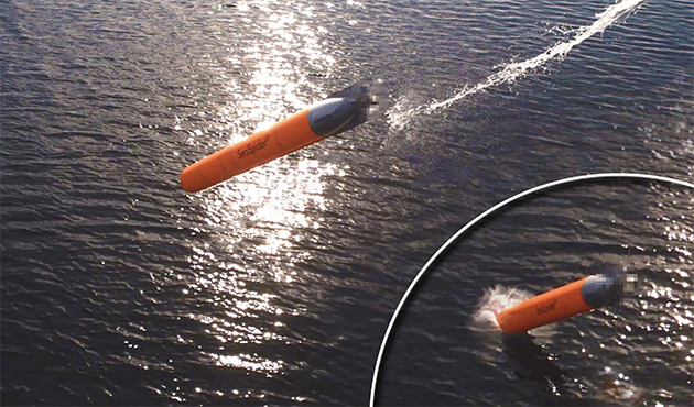 Hollanda’nın yeni savunma planında detaylar ortaya çıktı