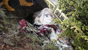 Türkiye'de kış uykusundan uyanan ac ayılar, cenazeleri mezardan çıkartmaya başladı