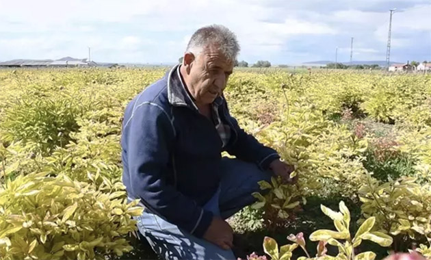 Hollanda'dan Yozgat'a getirdi! Bir gecede bütün emeği yok oldu