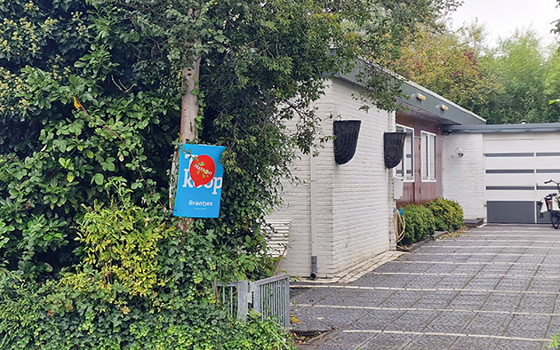 Hollanda'da expatlar konut pazarında etkisini artırıyor