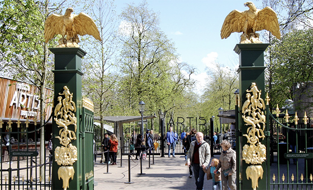 12 Yaşına Kadar Olan Çocuklara Amsterdam Hayvanat Bahçesine Ücretsiz Giriş!
