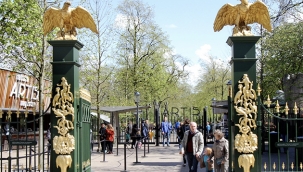 12 Yaşına Kadar Olan Çocuklara Amsterdam Hayvanat Bahçesine Ücretsiz Giriş!