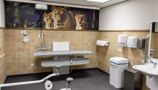 Amsterdam Belediyesi Engelliler İçin 200 Bin Euroluk Yatırımla "Yatma Tuvaleti" İnşa Ediyor