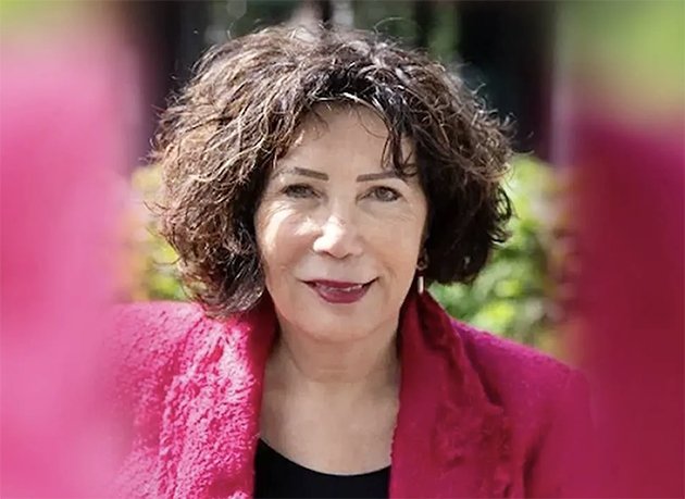 Beverwijk Belediye Başkan Yardımcısı, eski Milletvekil Nevin Özütok, Hakkındaki İddialar Nedeniyle Görevinden Ayrıldı