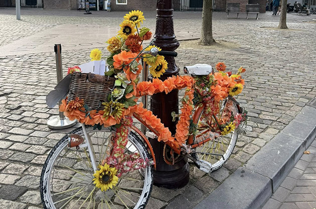 Hollanda'da Güneşin Ardından Yağmur Geliyor: Son Güzel Günün Keyfini Çıkarın