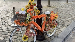 Hollanda'da Güneşin Ardından Yağmur Geliyor: Son Güzel Günün Keyfini Çıkarın