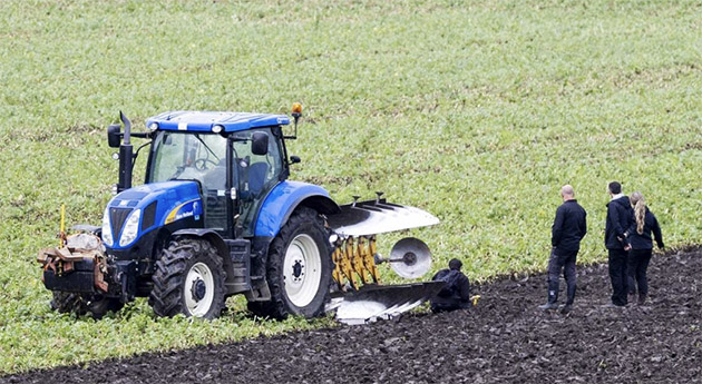 Hollanda'da Tarlada Bulunan Cesedin Yürek Burkan Hikayesi