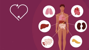 Hollandalı Gençler, Organ Bağışı Tercihi Konusunda Duyarsız