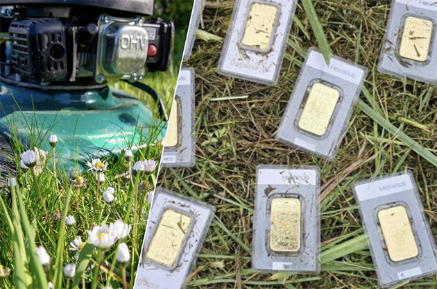 Almanya'da Çim Biçerken 30 Bin Euro Değerinde Altın Buldu