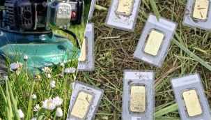 Almanya'da Çim Biçerken 30 Bin Euro Değerinde Altın Buldu