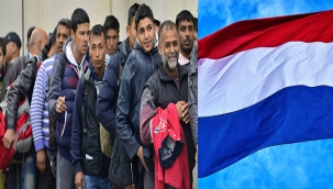 Hollanda'da Sığınma Başvurularında Büyük Düşüş: İlk 9 Ayda Başvuru Yapan Türklerin Sayısı İse……