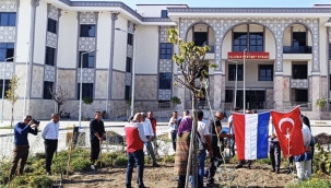 Hollanda'dan Dalaman'a Gönderilen Lale Soğanları Toprakla Buluştu