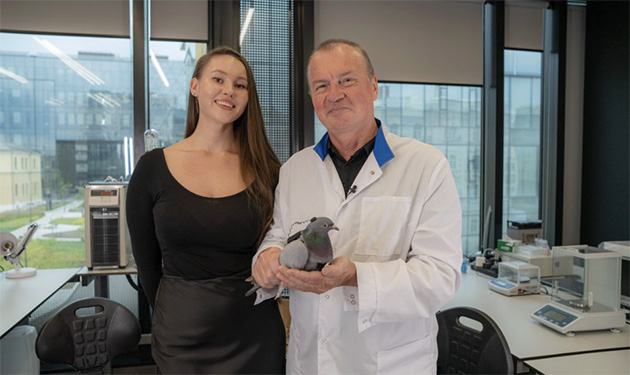 İnekler Ve Farelerden Sonra Şimdi De Kuşlar, Beyin Implantıyla Kontrol Edilmeye Başlandı! Sıra İnsanlarda......